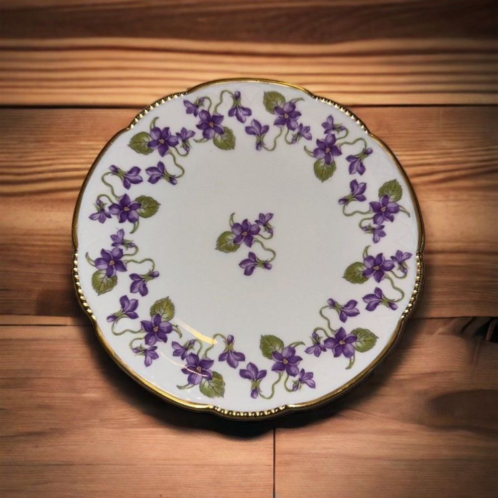 Vintage Mitterteich Bavaria Germany Floral Violets Dessert Salad Plates